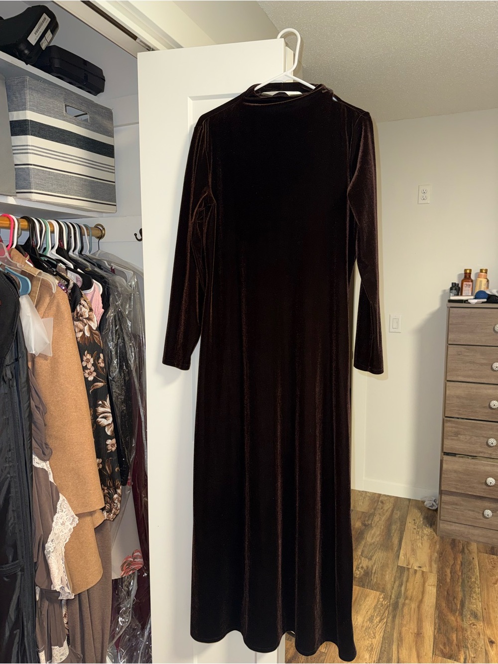 Max Studio Chocolate Brown Velvet Long Sleeve Maxi Dress - Picture 11 of 11